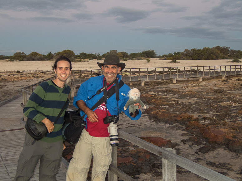 stromatolites